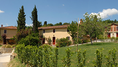 Vorschaubild	Fattoria Mansi Bernardini Il Borghetto - Ferienwohnung / Ferienhaus